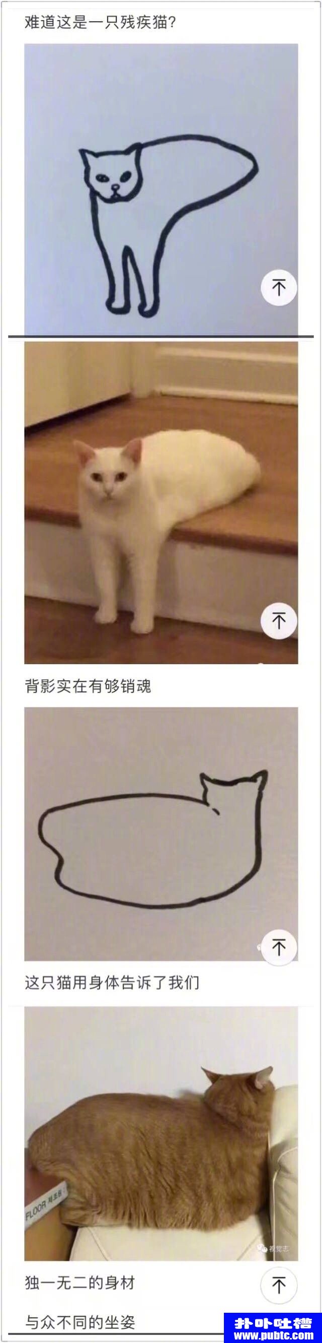껭ֻè
