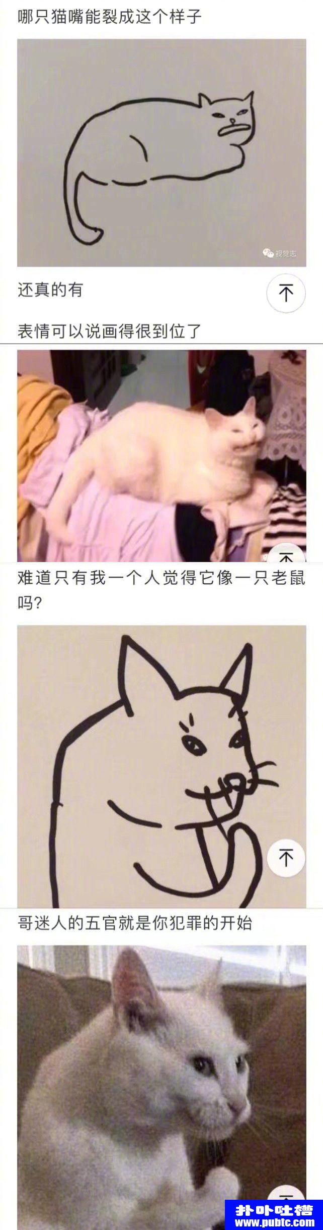 껭ֻè