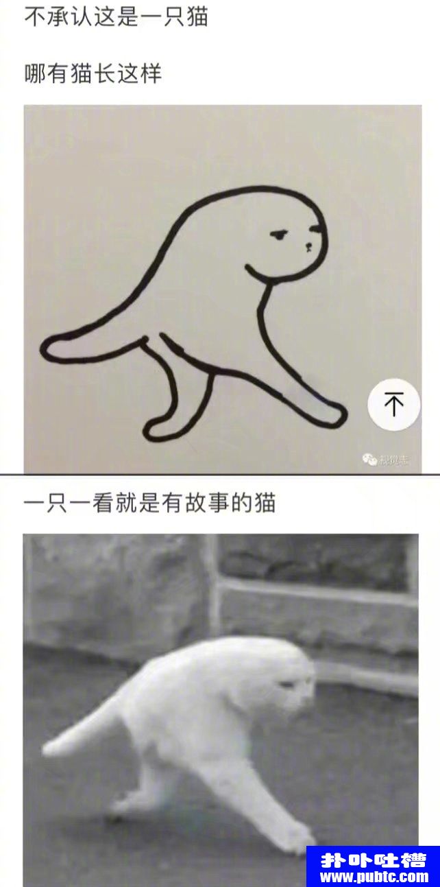 껭ֻè
