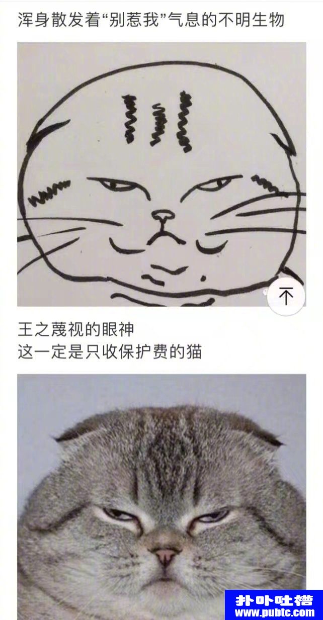 껭ֻè