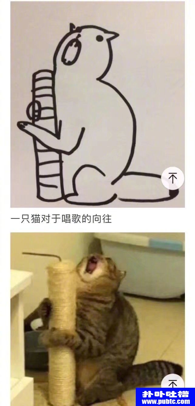 껭ֻè