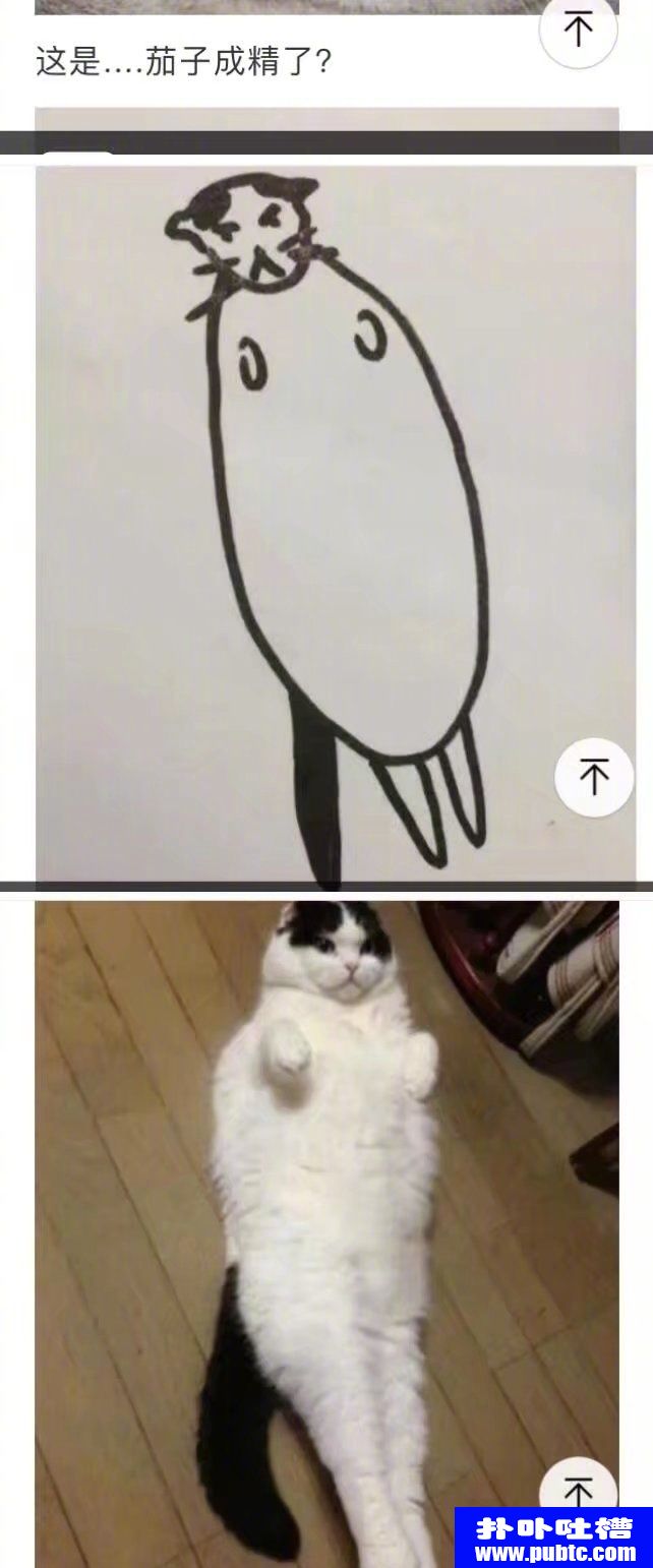 껭ֻè