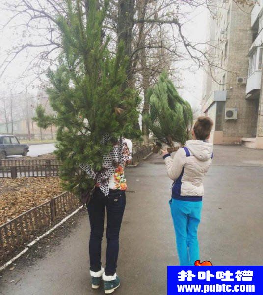 ͼƬҲѵԭ