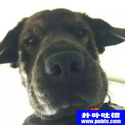 СĴǰͷ