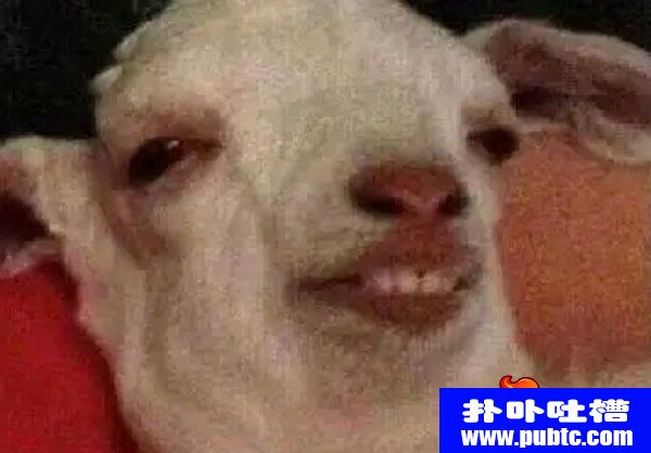 СĴǰͷ