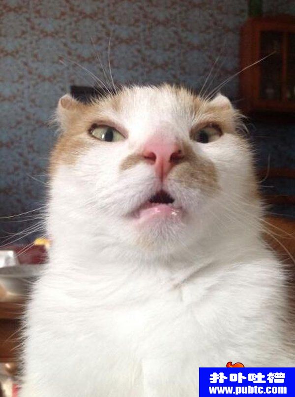 СĴǰͷ