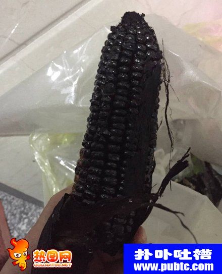 ʿƲסô