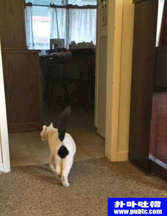 һ̾š