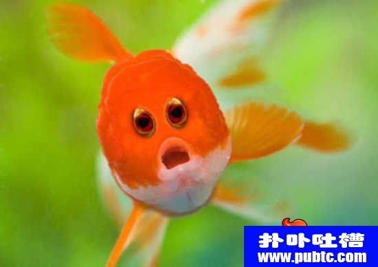 ۾һ