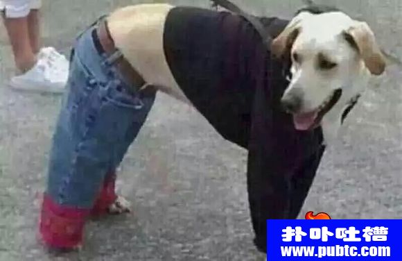 ϴδģڵġ