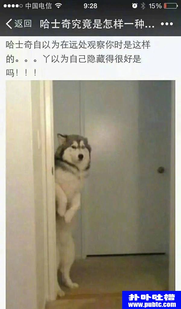 ΢ЦͼƬȫ