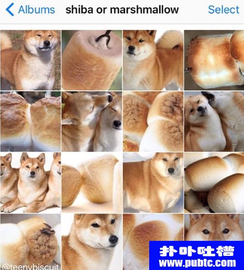 ͼƬȫ