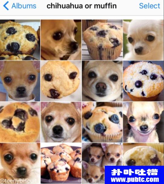 ͼƬȫ