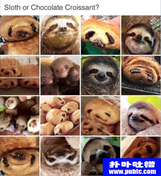 ͼƬȫ